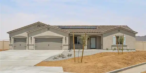 14873 Desert Lily