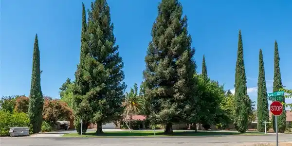 12502 Road 37 1/2