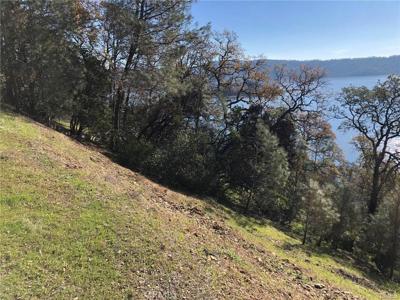 11705 Lakeview Drive