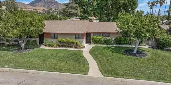 3495 Camellia Drive