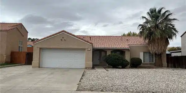 12374 Chuckwalla