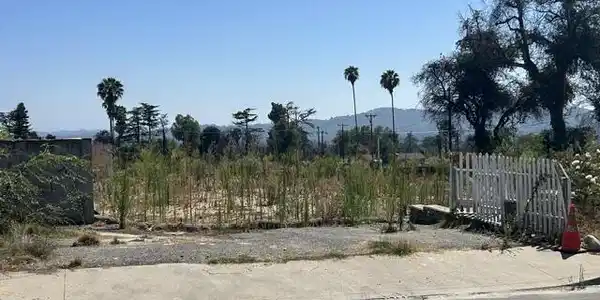 298 E Poppyfields Drive