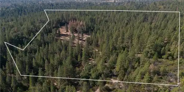 5901 5901 Manton Ponderosa Way