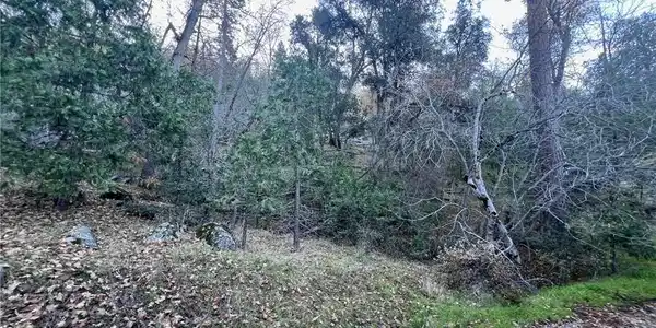0 Snowy Creek Way