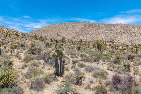 55652 Buena Vista Drive