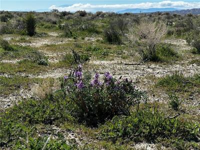 2 .5 Acre Lot