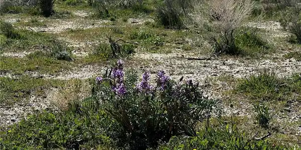 2 .5 Acre Lot