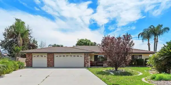 4269 Mangrove