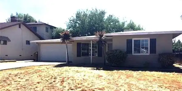 35211 Elm