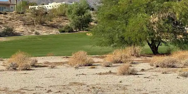 0 Roadrunner Drive