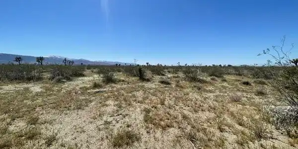 0 Dos Palmas AVE