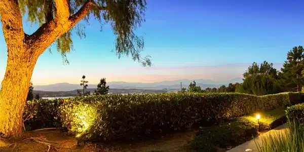 817 Terrace Lane E