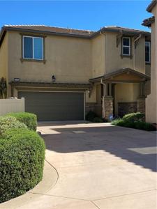28405 Wild Rose