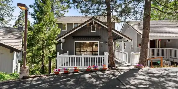 40603 Saddleback