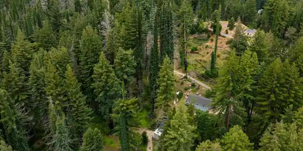 1131 Rambling Road