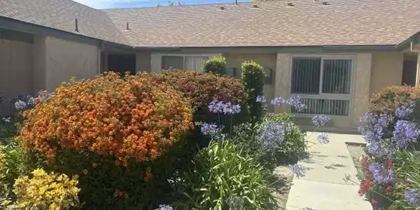 25124 Village 25