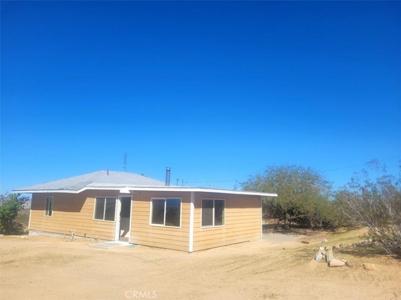 50471 Cholla