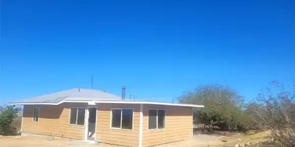 50471 Cholla