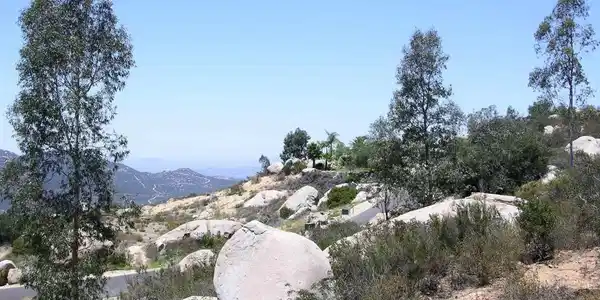 Lot 53 Welcome View