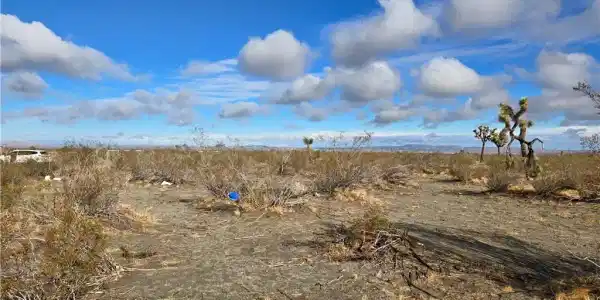 0 Palmdale Rd 3100-531-01