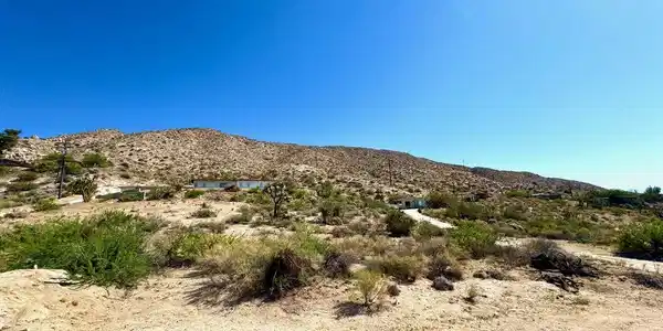 0 Sunnyslope