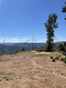 12269 Andy Mountain Road