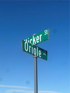 28138 Oriole