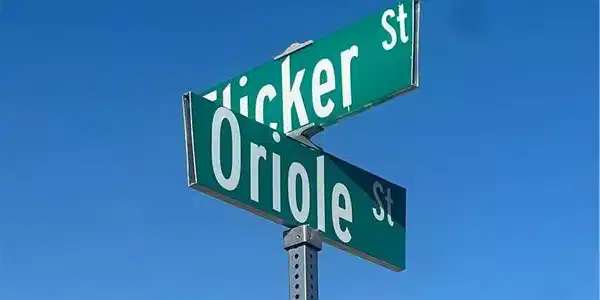 28138 Oriole