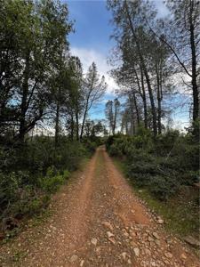 0 Donkey Mine Road