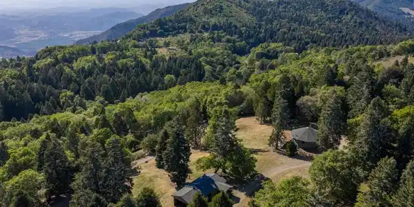 3413 Fern Meadow