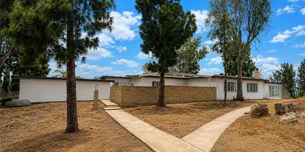 17301 Palm