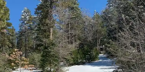0 Laurel Trail