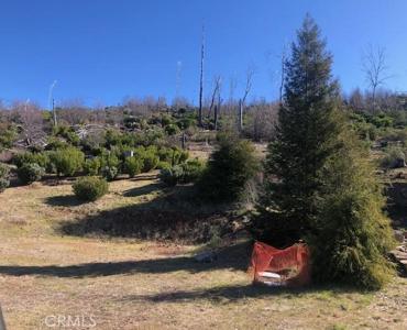 15260 Evergreen Drive
