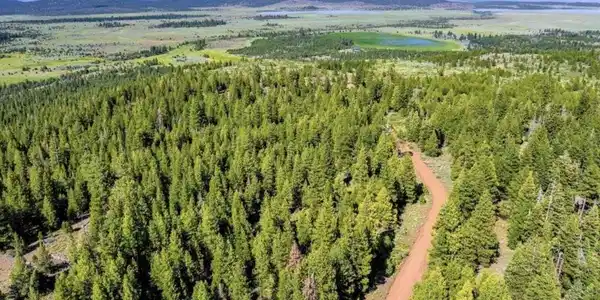 123 Glacier Dr Glacier Dr Alturas, CA  96101 Road