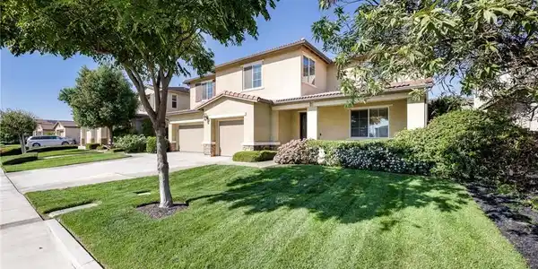 11781 Forsythia