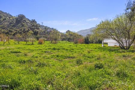4620 Casitas Pass Road