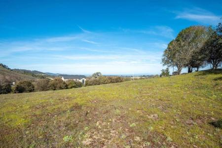 8375 Monterra Views (Lot 155)