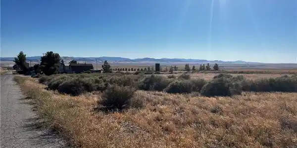 0 7 Mile Road