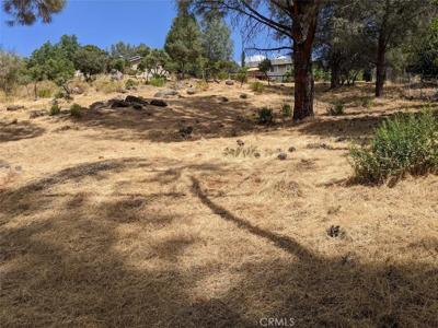 9720 Sequoia Road
