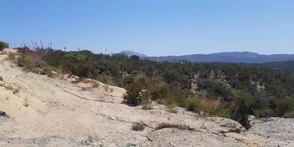 Montiel Truck Trail