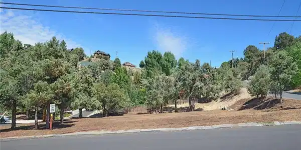 2029 St Bernard Drive