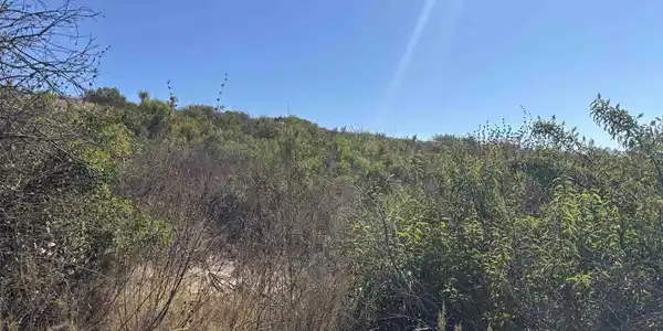 Poway Rd