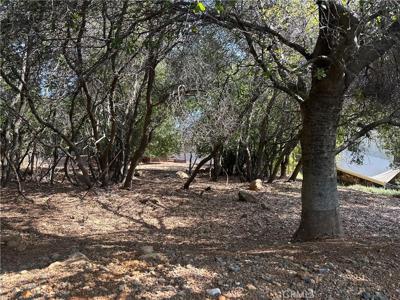 8310 Mountain Crest Drive