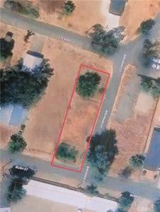 21306 Bush