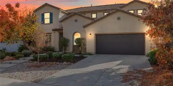 30517 Copper Rose