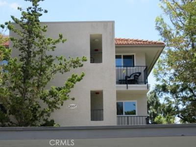 3337 Punta Alta