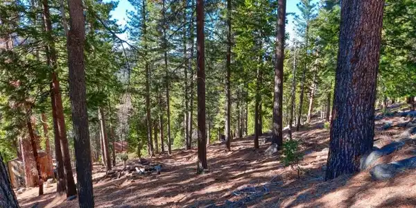 7349 & 7473 Yosemite Park Way