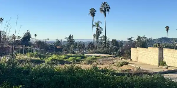 310 E Poppyfields Drive