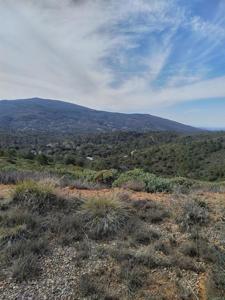 0 Coulter Ridge Drive
