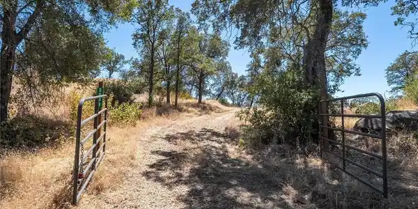 3831 Broncho Hollow